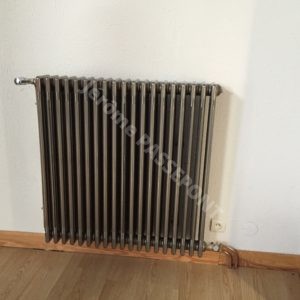 Chauffage avec radiateur déco Charleston Passepont Jérôme